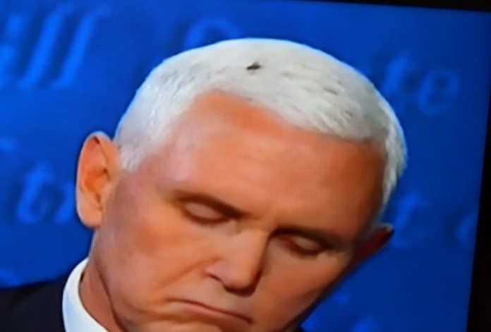 Fly on Mike Pence's head