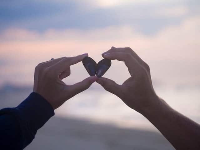 Two hands holding up clam shells, making a heart shape