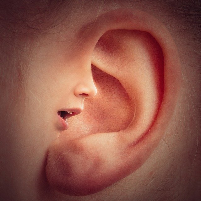Human ear with the inner bump closest to the face turned into a different person's nose and mouth