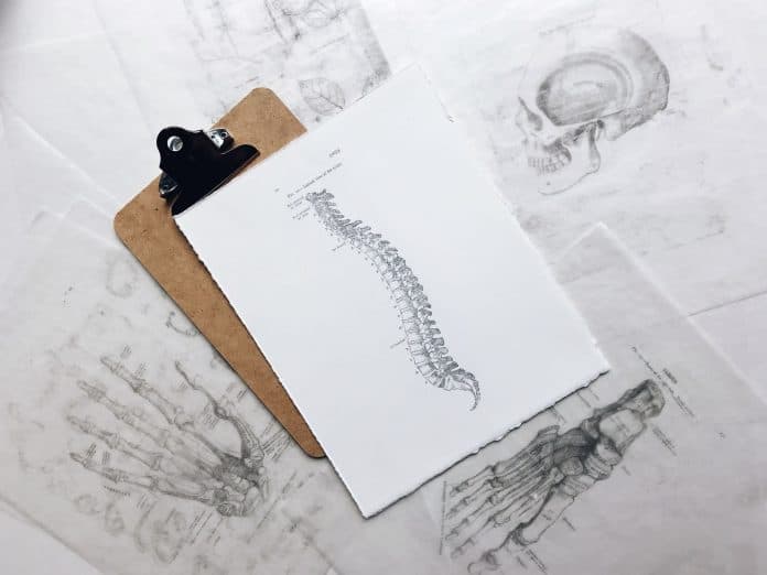 Clipboard with a drawing of a spine on it, with medical hand and foot drawings on the table under clipboard