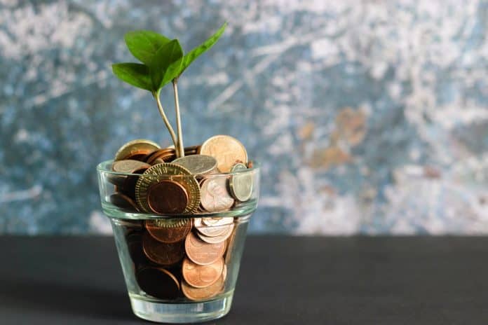 Glass cup filled with change, with a small sapling growing out of it